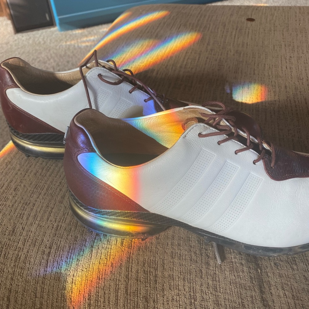 Mens golf shoes